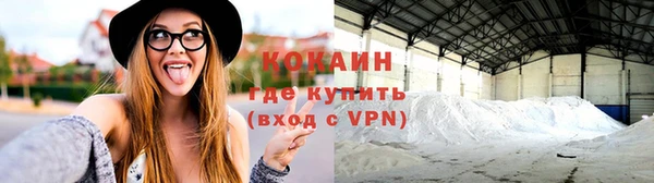 индика Беломорск