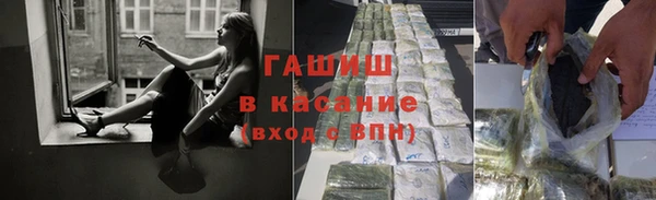 индика Беломорск
