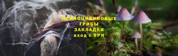 индика Беломорск