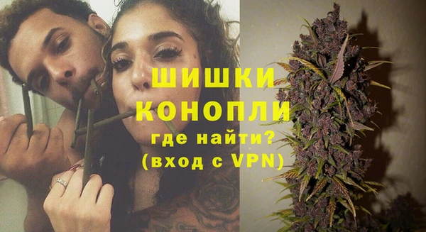 индика Беломорск
