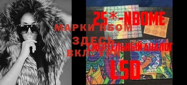 индика Беломорск