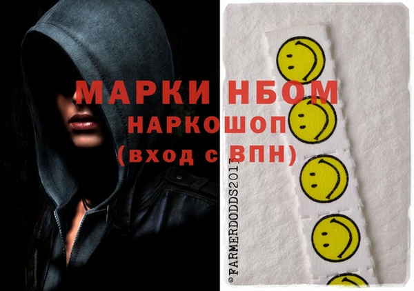 индика Беломорск