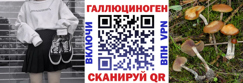 продажа наркотиков Голицыно кракен вход Псилоцибиновые грибы MAGIC MUSHROOMS